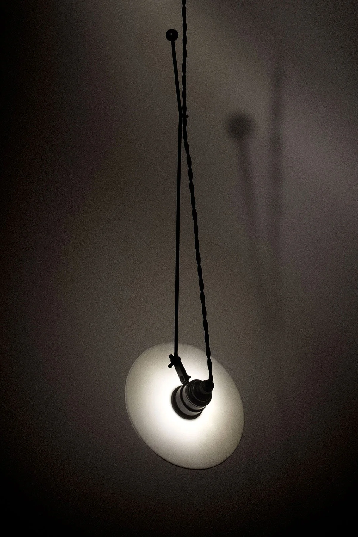 Luna S3 - Wall Lamp With A Wall Rose - Image 2